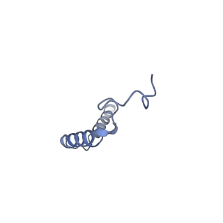 38795_8xzg_G_v1-0
Cryo-EM structure of the [Pyr1]-apelin-13-bound human APLNR-Gi complex