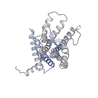 38795_8xzg_R_v1-0
Cryo-EM structure of the [Pyr1]-apelin-13-bound human APLNR-Gi complex