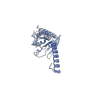 38796_8xzh_A_v1-1
Cryo-EM structure of the MM07-bound human APLNR-Gi complex