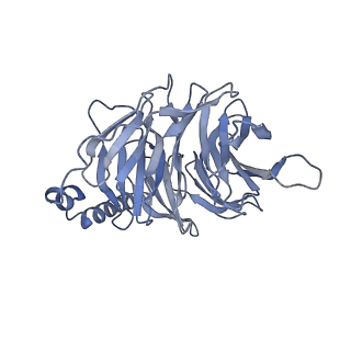 38796_8xzh_B_v1-1
Cryo-EM structure of the MM07-bound human APLNR-Gi complex