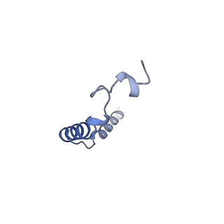 38796_8xzh_G_v1-1
Cryo-EM structure of the MM07-bound human APLNR-Gi complex