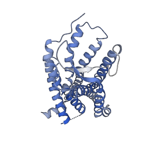 38796_8xzh_R_v1-1
Cryo-EM structure of the MM07-bound human APLNR-Gi complex