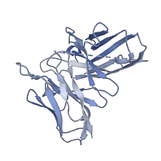 38796_8xzh_S_v1-1
Cryo-EM structure of the MM07-bound human APLNR-Gi complex