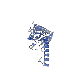 38797_8xzi_A_v1-1
Cryo-EM structure of the CMF-019-bound human APLNR-Gi complex