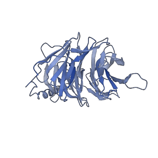 38797_8xzi_B_v1-1
Cryo-EM structure of the CMF-019-bound human APLNR-Gi complex