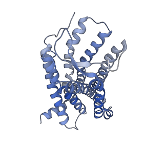 38797_8xzi_R_v1-1
Cryo-EM structure of the CMF-019-bound human APLNR-Gi complex