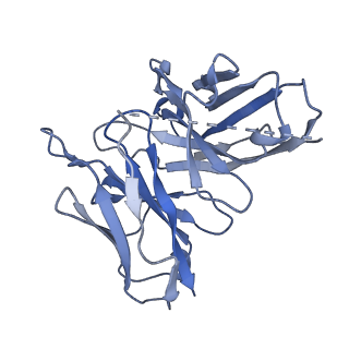 38797_8xzi_S_v1-1
Cryo-EM structure of the CMF-019-bound human APLNR-Gi complex