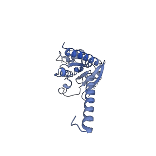 38798_8xzj_A_v1-1
Cryo-EM structure of the WN353-bound human APLNR-Gi complex