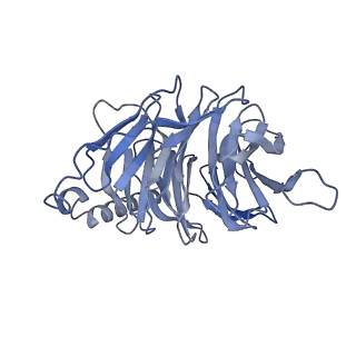 38798_8xzj_B_v1-1
Cryo-EM structure of the WN353-bound human APLNR-Gi complex