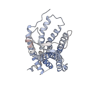 38798_8xzj_R_v1-1
Cryo-EM structure of the WN353-bound human APLNR-Gi complex