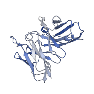 38798_8xzj_S_v1-1
Cryo-EM structure of the WN353-bound human APLNR-Gi complex