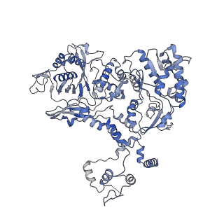 10667_6y0c_C_v1-1
Influenza C virus polymerase in complex with human ANP32A - Subclass 2