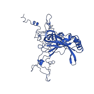 10668_6y0g_LB_v1-1
Structure of human ribosome in classical-PRE state