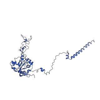 10668_6y0g_LC_v1-1
Structure of human ribosome in classical-PRE state