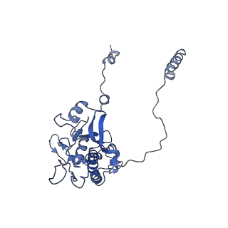 10668_6y0g_LD_v1-1
Structure of human ribosome in classical-PRE state