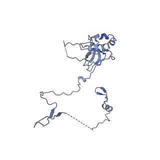 10668_6y0g_LE_v1-1
Structure of human ribosome in classical-PRE state