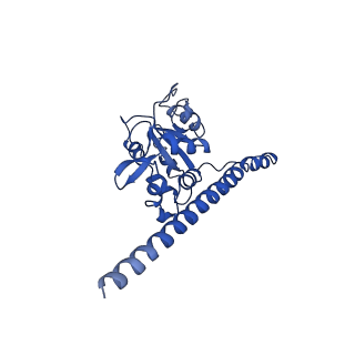 10668_6y0g_LF_v1-1
Structure of human ribosome in classical-PRE state