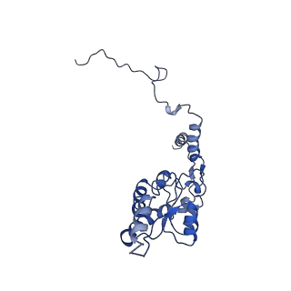 10668_6y0g_LG_v1-1
Structure of human ribosome in classical-PRE state