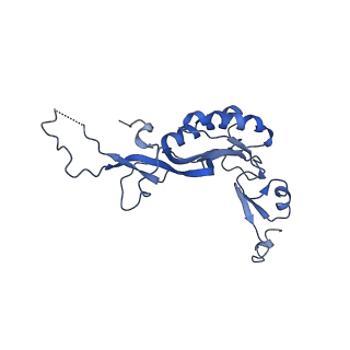 10668_6y0g_LI_v1-1
Structure of human ribosome in classical-PRE state
