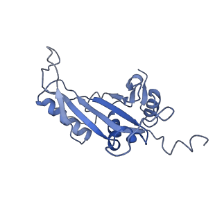10668_6y0g_LJ_v1-1
Structure of human ribosome in classical-PRE state