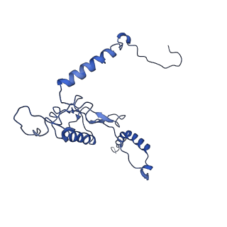10668_6y0g_LL_v1-1
Structure of human ribosome in classical-PRE state