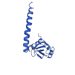 10668_6y0g_LM_v1-1
Structure of human ribosome in classical-PRE state