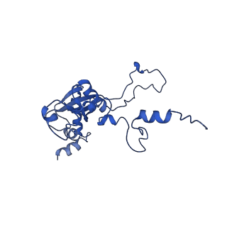 10668_6y0g_LN_v1-1
Structure of human ribosome in classical-PRE state