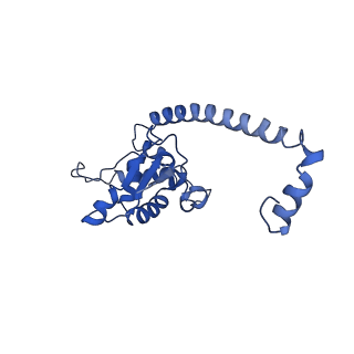 10668_6y0g_LO_v1-1
Structure of human ribosome in classical-PRE state