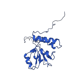 10668_6y0g_LQ_v1-1
Structure of human ribosome in classical-PRE state