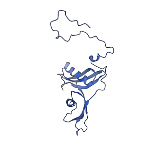 10668_6y0g_LS_v1-1
Structure of human ribosome in classical-PRE state