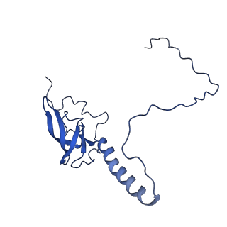 10668_6y0g_LT_v1-1
Structure of human ribosome in classical-PRE state