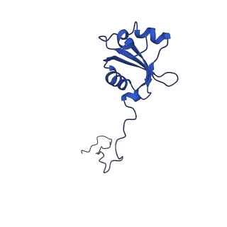 10668_6y0g_LX_v1-1
Structure of human ribosome in classical-PRE state