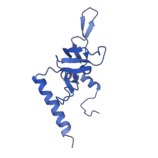 10668_6y0g_LY_v1-1
Structure of human ribosome in classical-PRE state