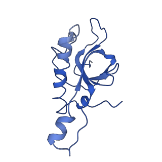 10668_6y0g_LZ_v1-1
Structure of human ribosome in classical-PRE state