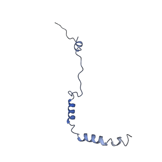 10668_6y0g_Lb_v1-1
Structure of human ribosome in classical-PRE state