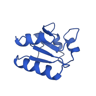 10668_6y0g_Lc_v1-1
Structure of human ribosome in classical-PRE state