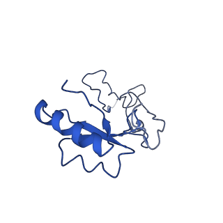 10668_6y0g_Le_v1-1
Structure of human ribosome in classical-PRE state