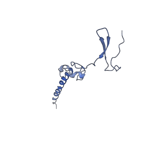10668_6y0g_Lg_v1-1
Structure of human ribosome in classical-PRE state