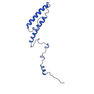 10668_6y0g_Lh_v1-1
Structure of human ribosome in classical-PRE state
