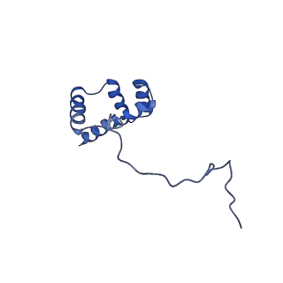 10668_6y0g_Li_v1-1
Structure of human ribosome in classical-PRE state