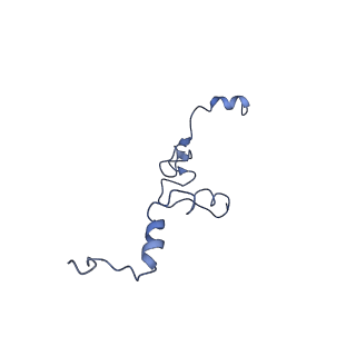 10668_6y0g_Lj_v1-1
Structure of human ribosome in classical-PRE state