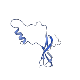 10668_6y0g_Lo_v1-1
Structure of human ribosome in classical-PRE state