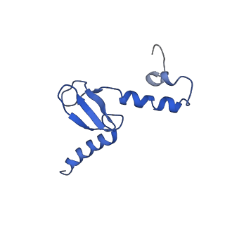 10668_6y0g_Lp_v1-1
Structure of human ribosome in classical-PRE state