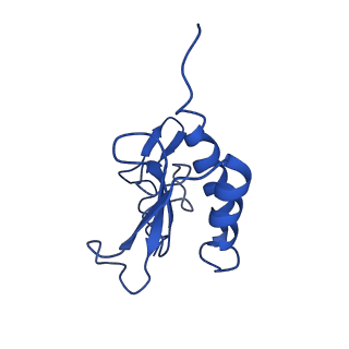 10668_6y0g_Lr_v1-1
Structure of human ribosome in classical-PRE state