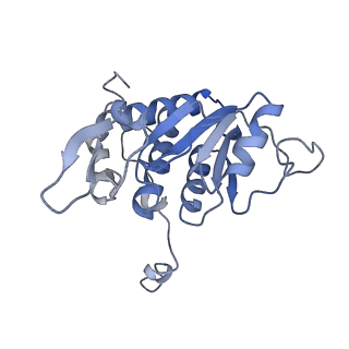 10668_6y0g_SA_v1-1
Structure of human ribosome in classical-PRE state