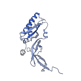 10668_6y0g_SB_v1-1
Structure of human ribosome in classical-PRE state