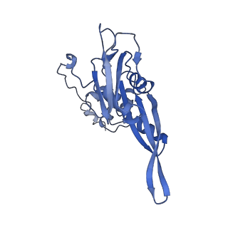 10668_6y0g_SC_v1-1
Structure of human ribosome in classical-PRE state