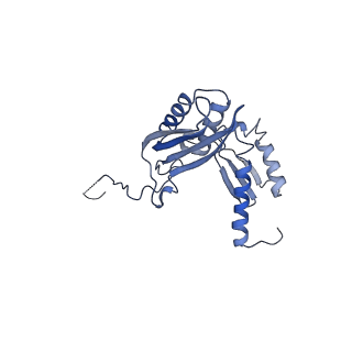 10668_6y0g_SD_v1-1
Structure of human ribosome in classical-PRE state