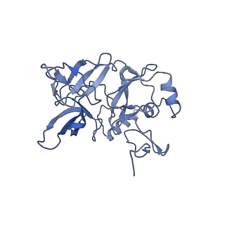 10668_6y0g_SE_v1-1
Structure of human ribosome in classical-PRE state