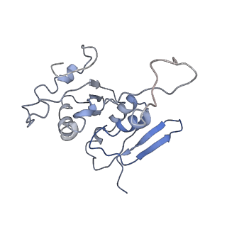10668_6y0g_SH_v1-1
Structure of human ribosome in classical-PRE state